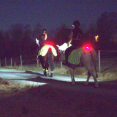 Lampe Light 01 ClipOn Svart Lampe Light 01 ClipOn Svart