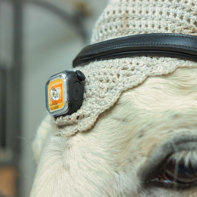 Lampe Light 01 ClipOn Svart