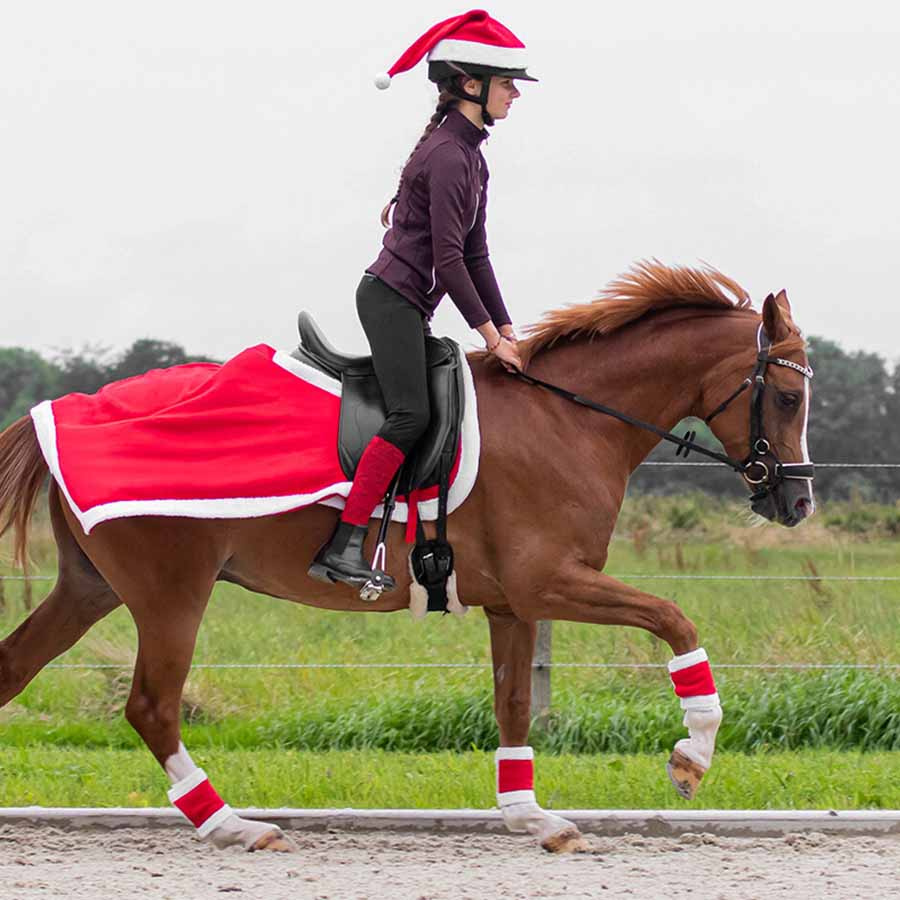 Dressursjabrak Christmas Rød/Hvit