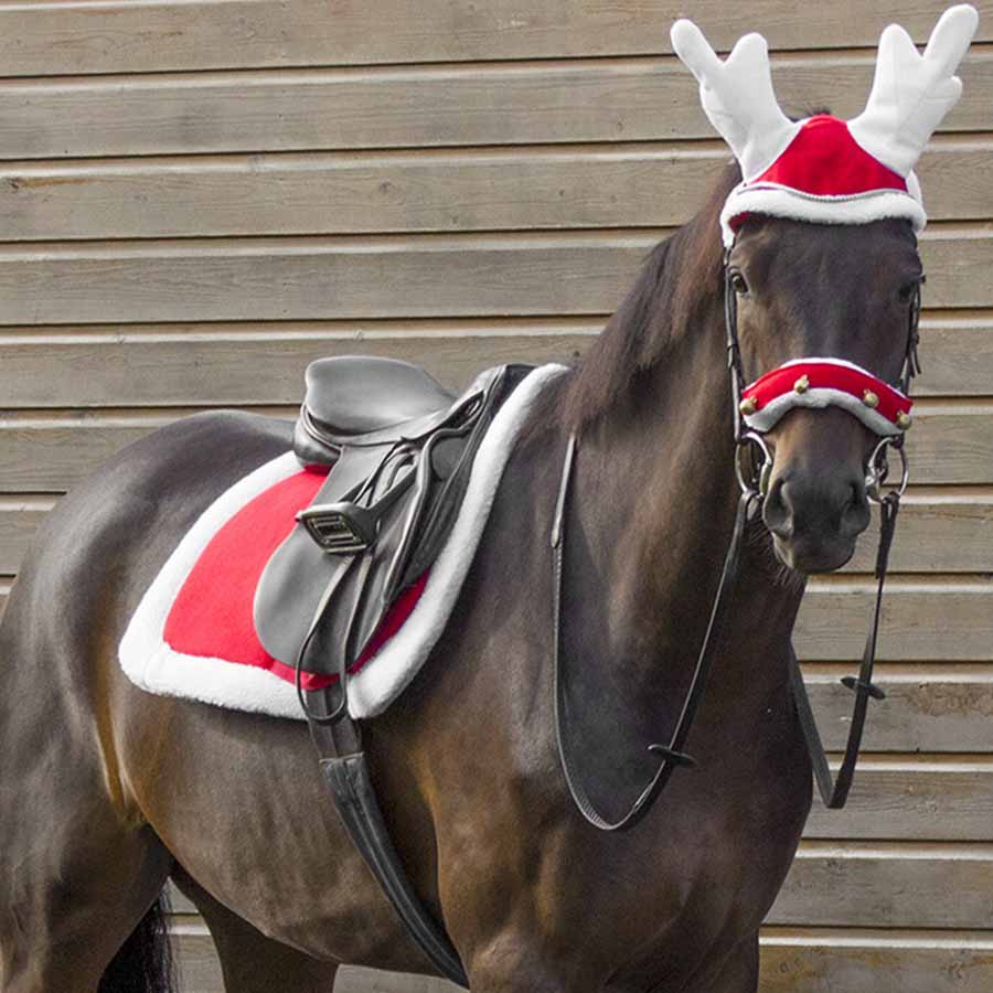 Allroundsjabrak Christmas Rød/Vit