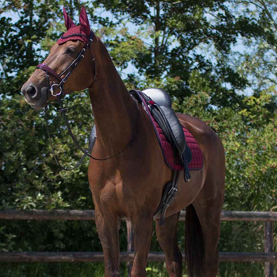 Allroundsjabrak Florence Vinrød/Marineblå