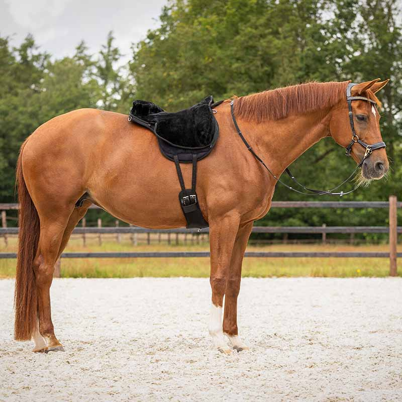 Barbakpad Super Soft Svart/Svart