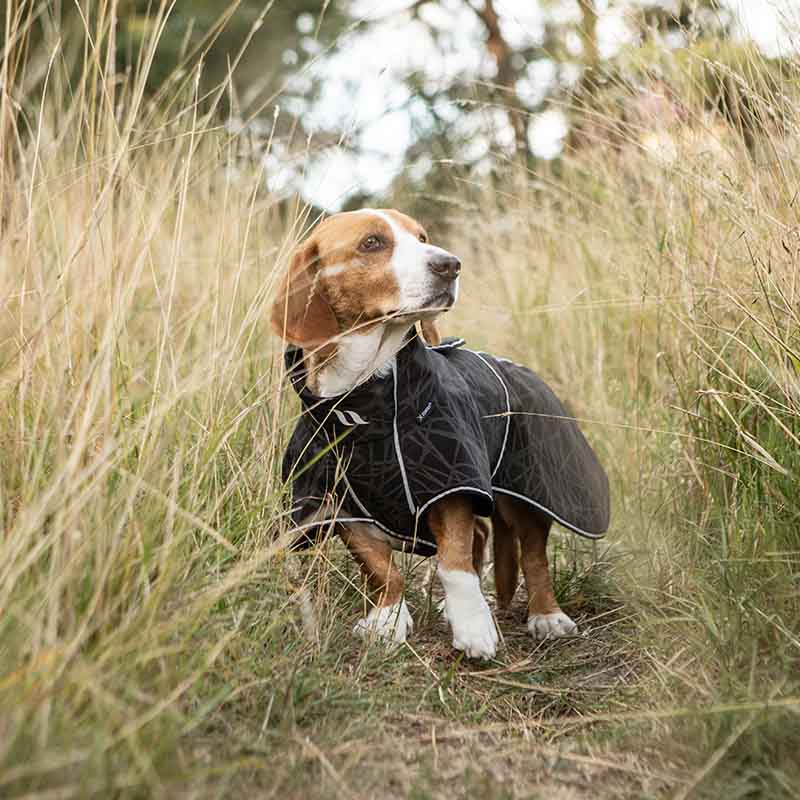 Softshelldekken Hund Buddy 2.0 Long Back Svart