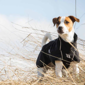 Hundedekken Bark Svart Hundedekken Bark Svart