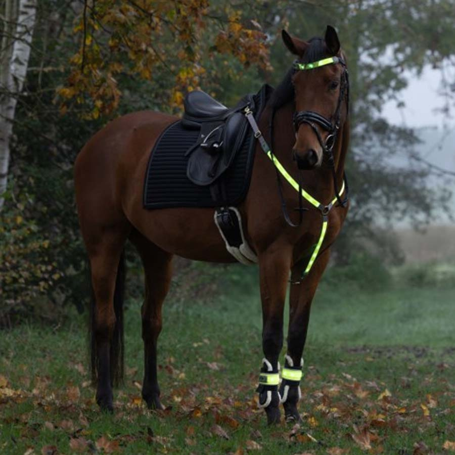 Benreflekser High-Visibility LED 2-pack Gul