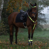 Benreflekser High-Visibility LED 2-pack Gul Benreflekser High-Visibility LED 2-pack Gul