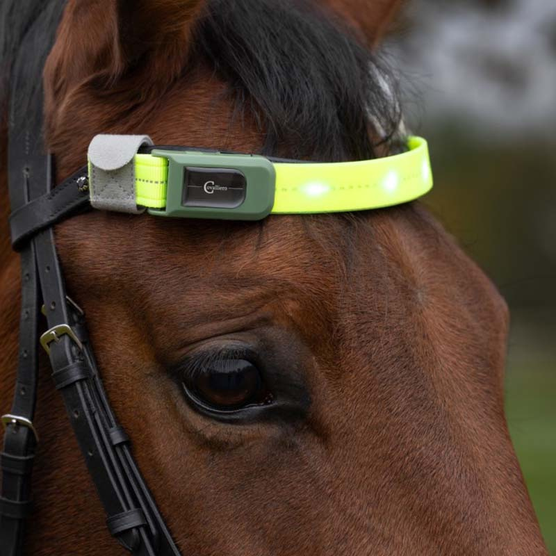 Pannebånd High-Visibility LED Gul