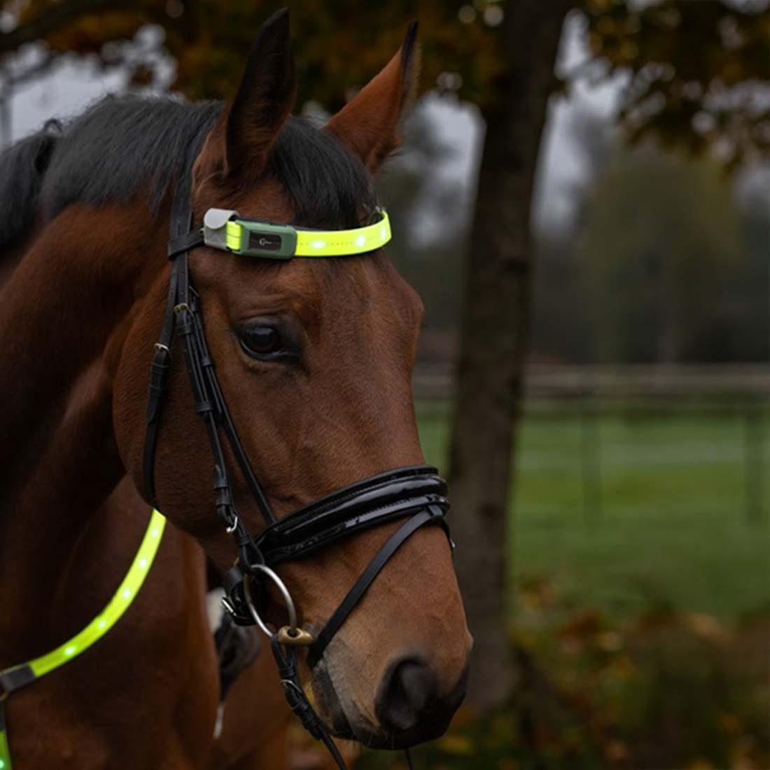 Pannebånd High-Visibility LED Gul
