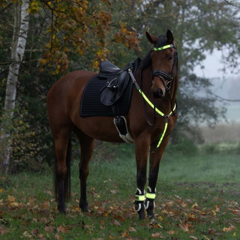 Pannebånd High-Visibility LED Gul