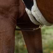 Fortøy High-Visibility LED Gul Fortøy High-Visibility LED Gul