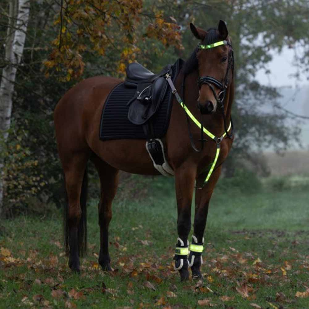 Fortøy High-Visibility LED Gul