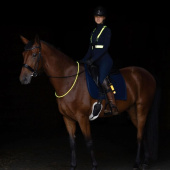 Refleks LED Neck Ring Gul Refleks LED Neck Ring Gul