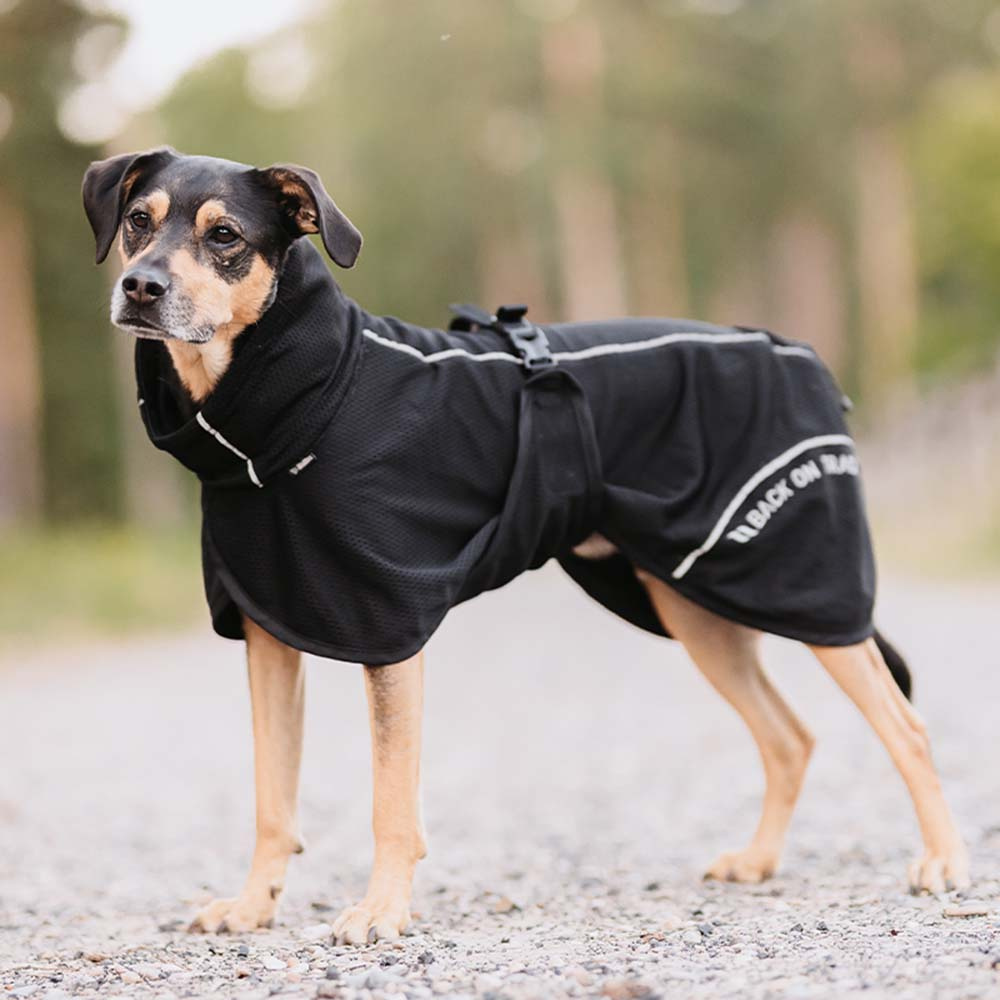 Nettingdekken Hund Bay High Tail Svart