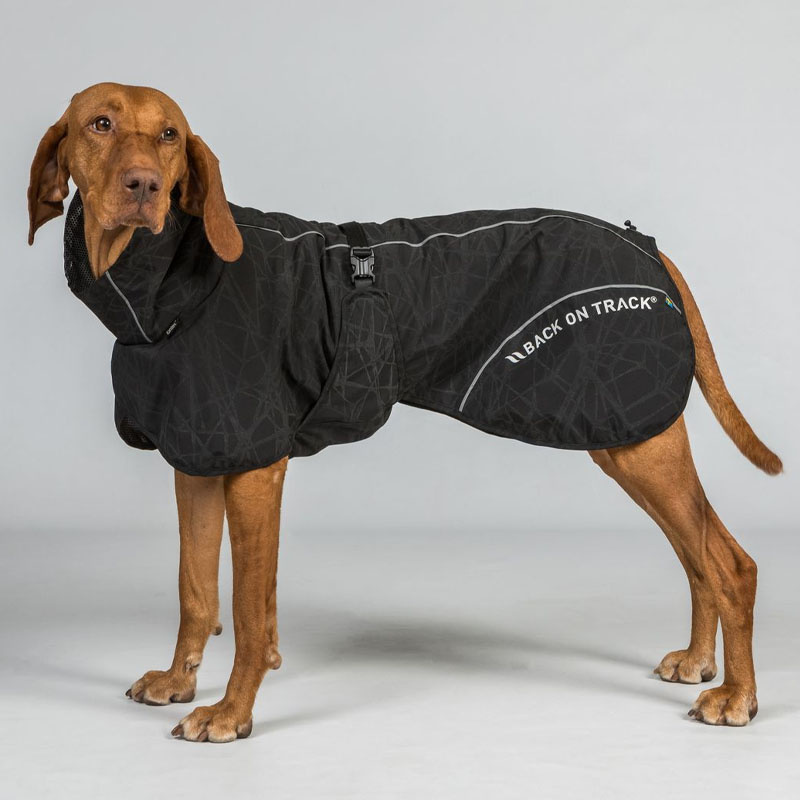 Regndekken Hund Bay High Tail Svart