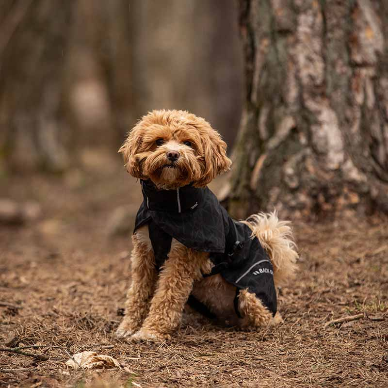 Regndekken Hund Bay High Tail Svart