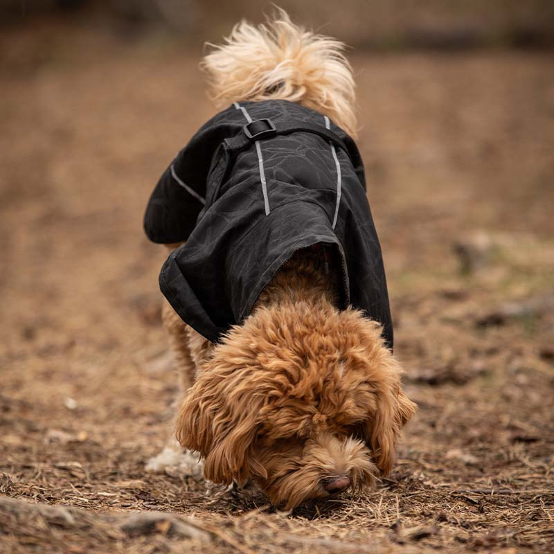 Regndekken Hund Bay High Tail Svart