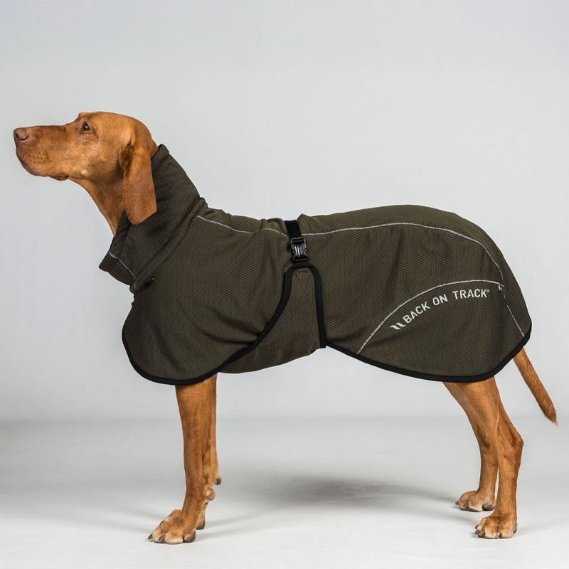 Nettingdekken Hund Bay Low Tail Olivengrønn