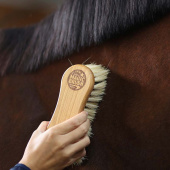 Børste Combi Tagel/Fiber Børste Combi Tagel/Fiber