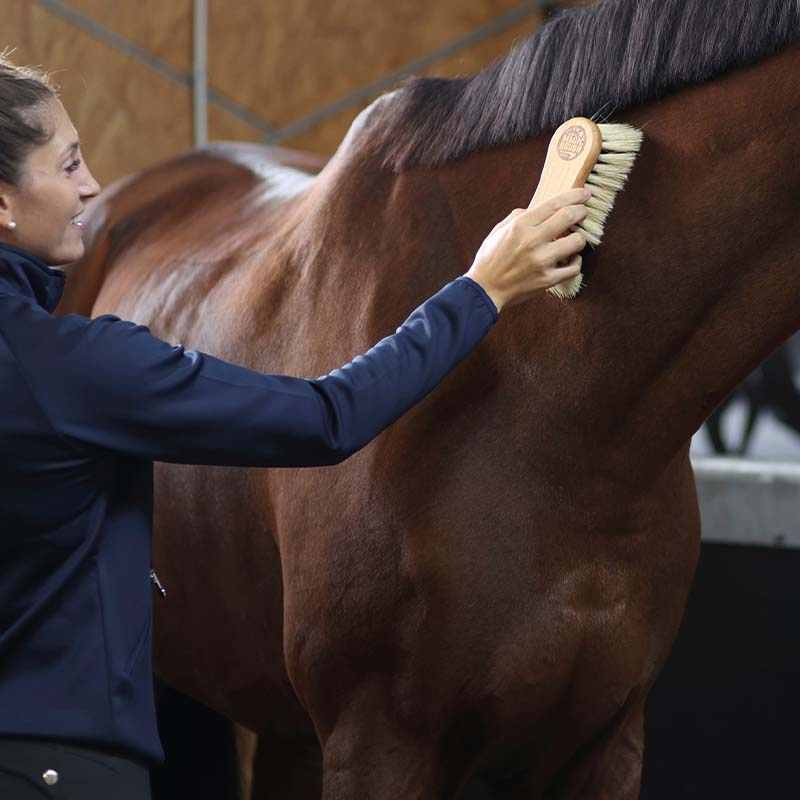 Børste Combi Tagel/Fiber