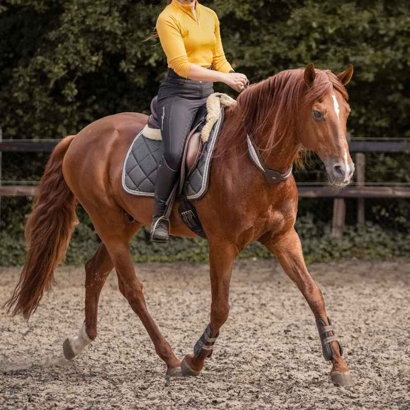 Halsring Lær Whisper NH Brun