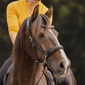 Bittløst Hodelag Moonlight Sidepull Svart Bittløst Hodelag Moonlight Sidepull Svart