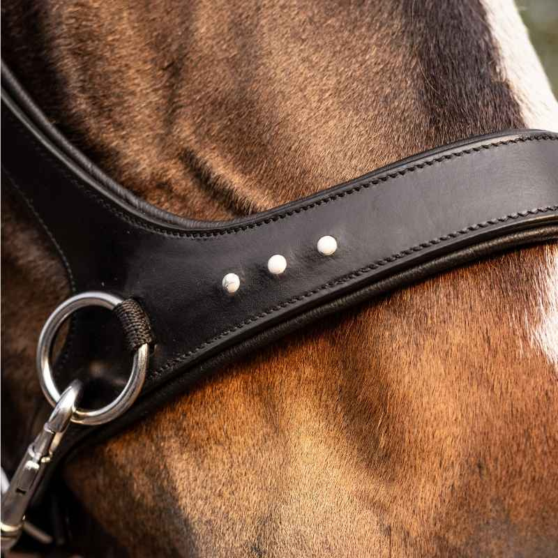 Bittløst Hodelag Glory Sidepull Svart