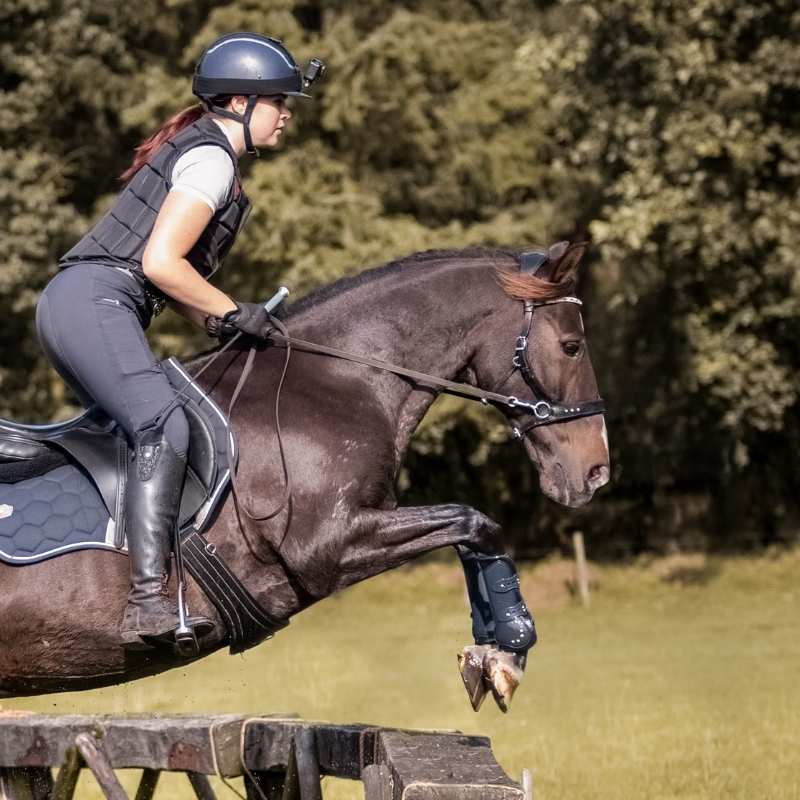 Bittløst Hodelag Glory Sidepull Svart