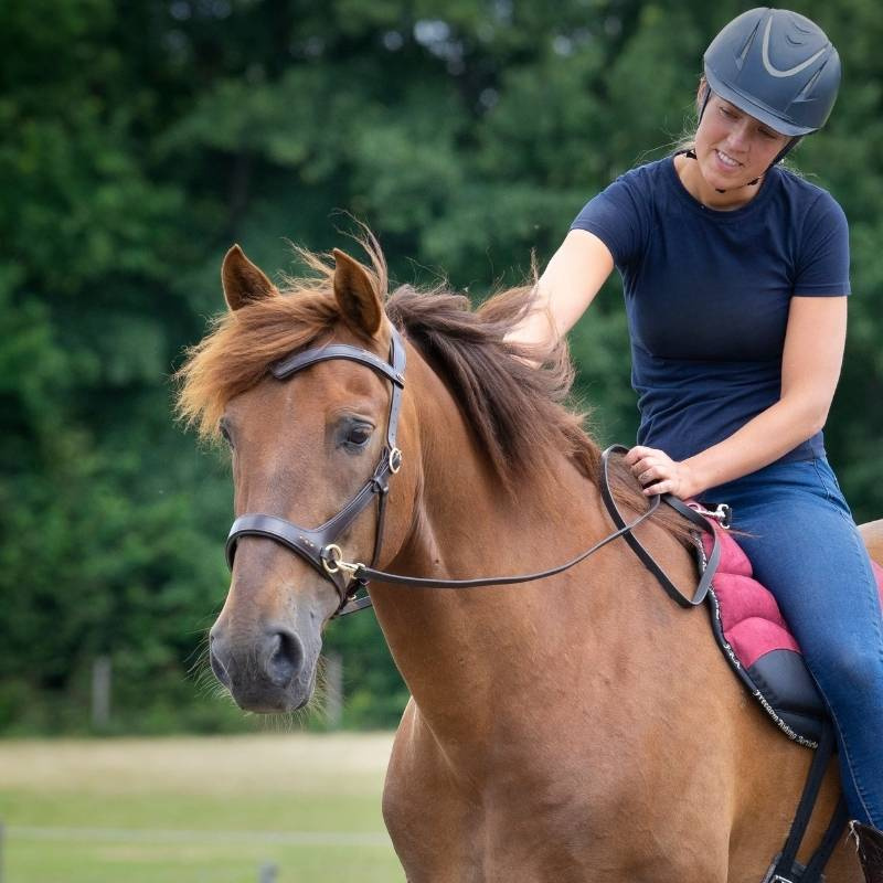 Bittløst Hodelag Glory Sidepull Brun