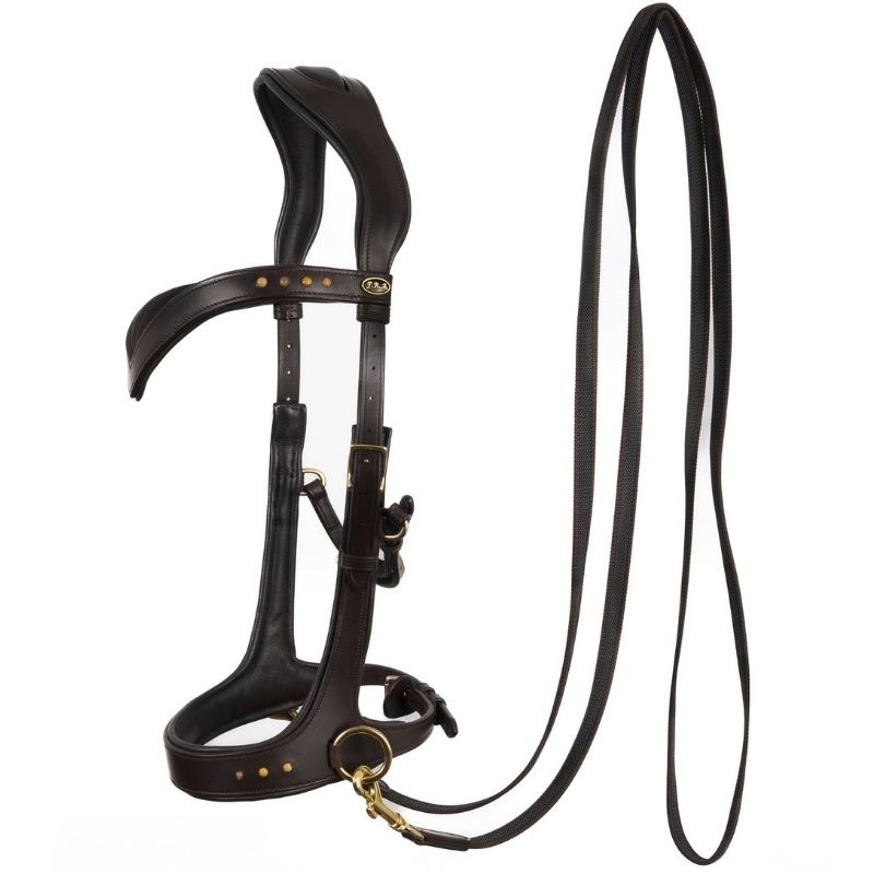Bittløst Hodelag Glory Sidepull Brun