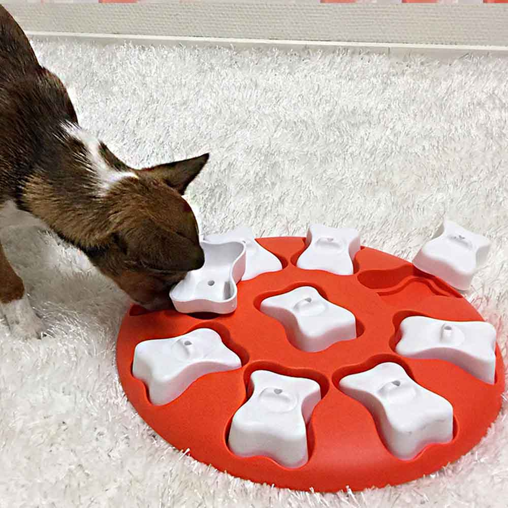 Aktivitetsleke Dog Smart Nivå 1 Rød/Hvit