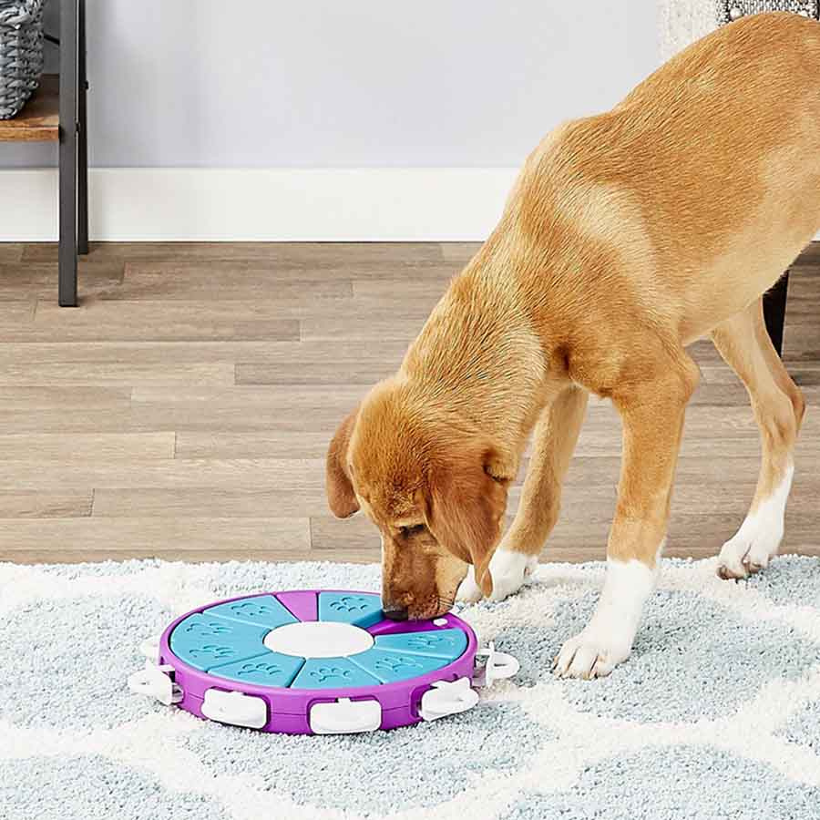 Aktivitetsleke Dog Twister Nivå 3 Lilla/Turkis/Hvit