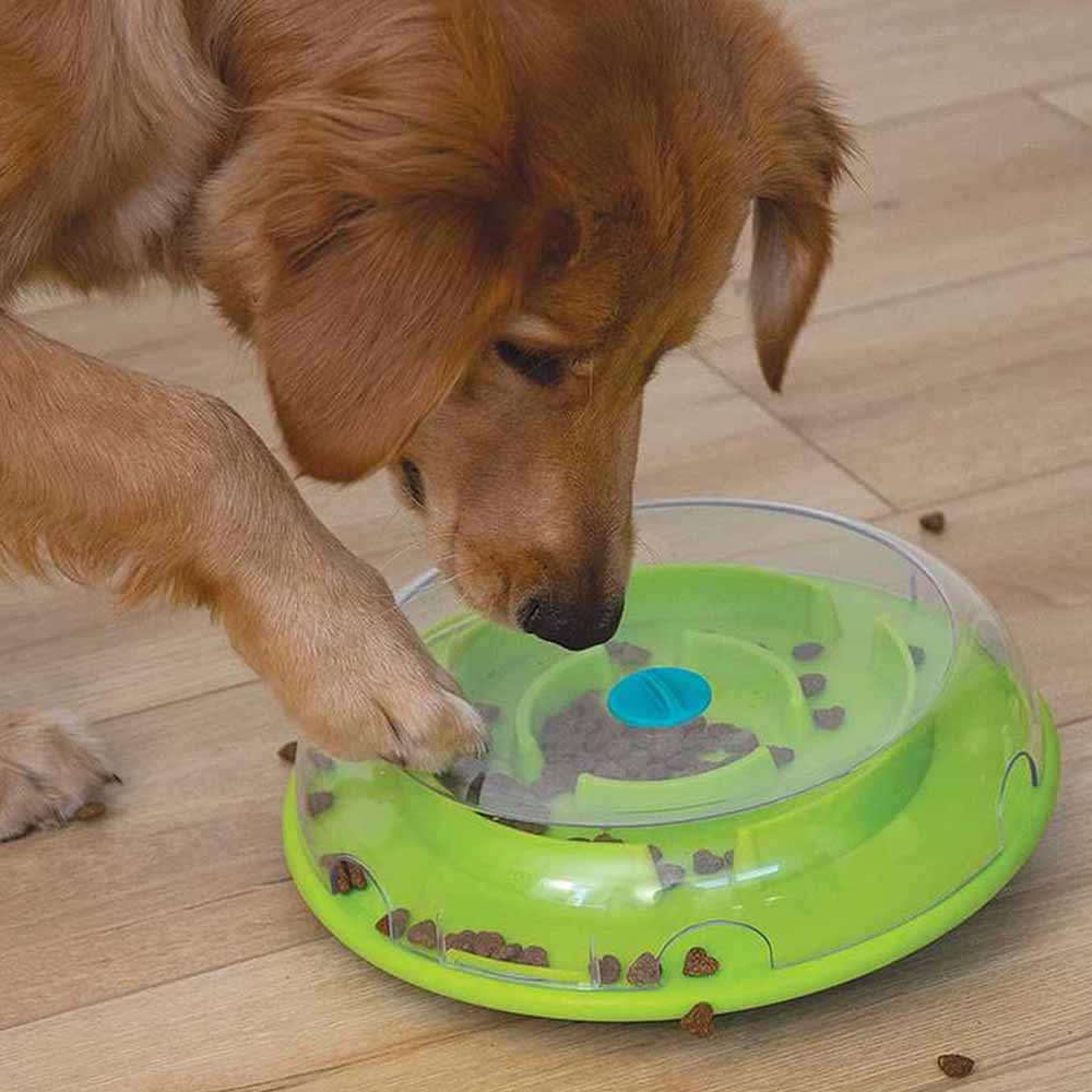 Aktivitetsleke Wobble Bowl Nivå 1 Turkis/Grønn