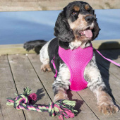 Hundleke Vixen Rep Knuter Grønn/Svart/Rosa Hundleke Vixen Rep Knuter Grønn/Svart/Rosa