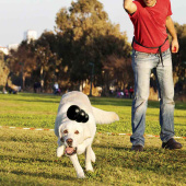 Hundleke KONG Extreme Small Svart Hundleke KONG Extreme Small Svart