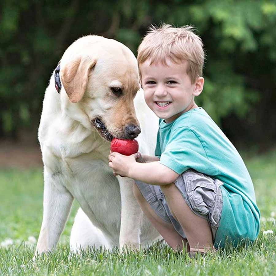 Hundeleke KONG Classic X-Large Rød