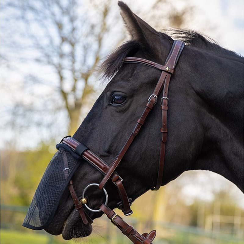 Mulebeskytter Mesh Svart