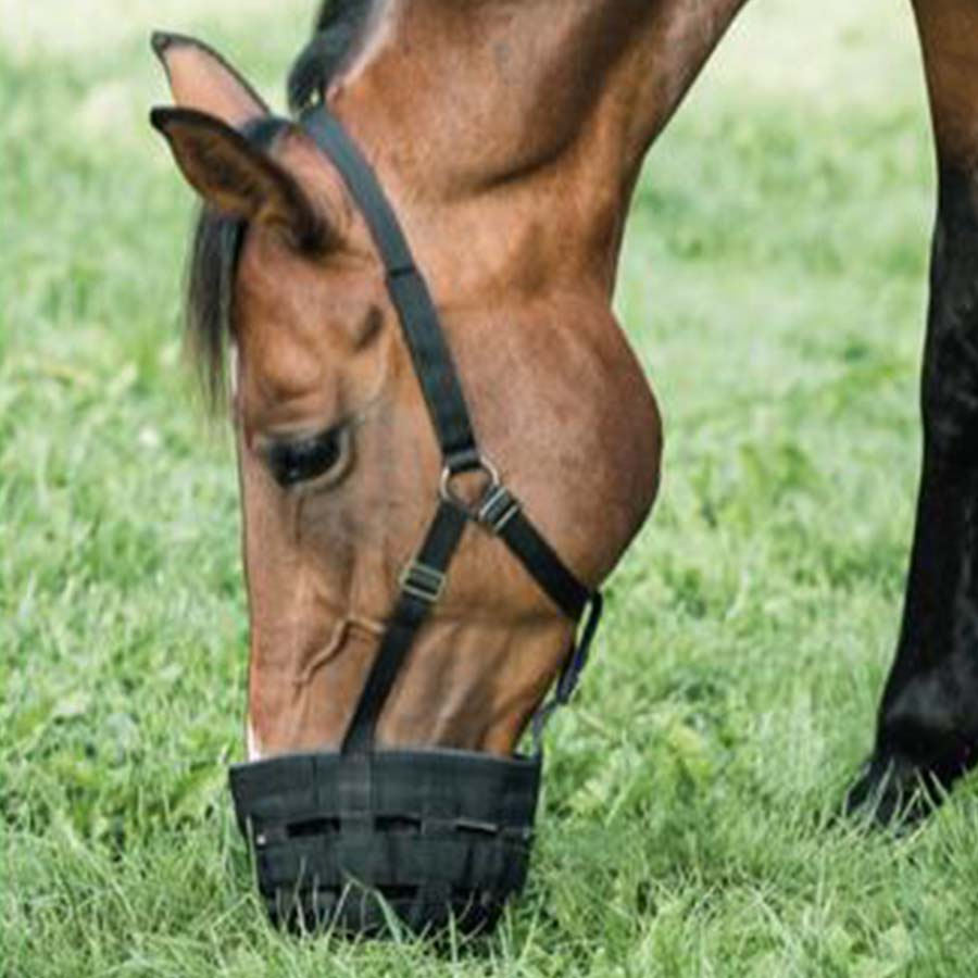 Beitebegrenser Muzzle HG Svart