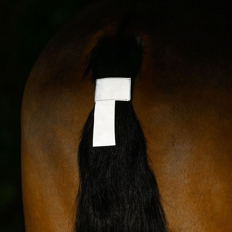 Halerefleks Tail Cord Sølv
