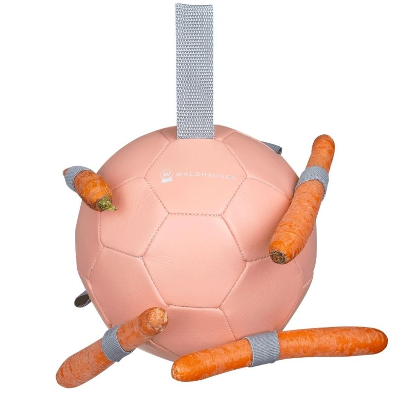 Hesteleke Carrot Ball Rosa