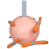 Hesteleke Carrot Ball Rosa Hesteleke Carrot Ball Rosa