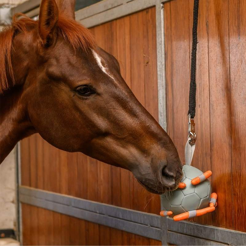 Hesteleke Carrot Ball Grønn