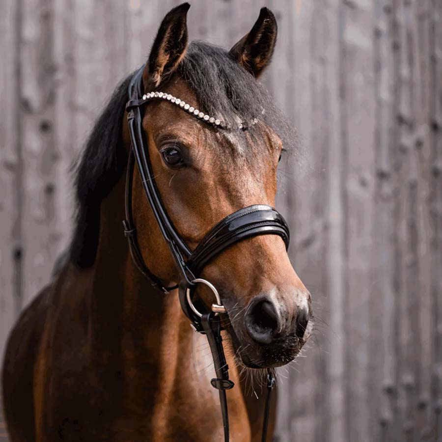 Tredelt bitt Dynamic RS Sensogan Ø55mm