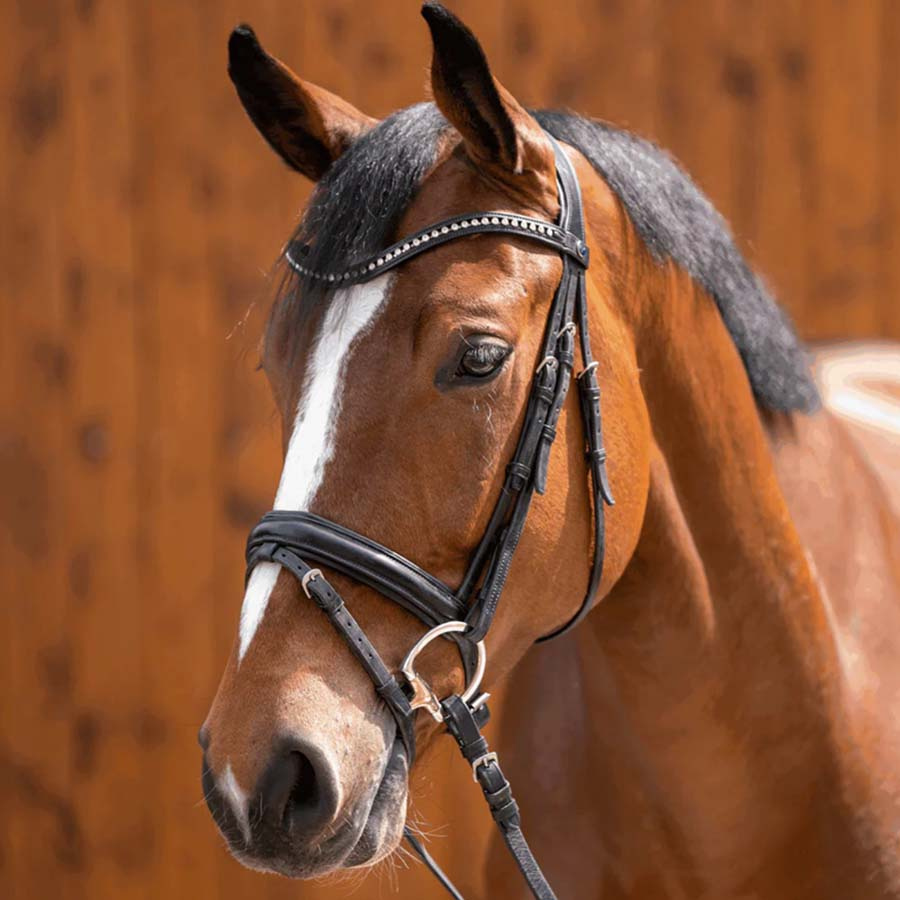 Muffebitt Dynamic RS Sensogan D-Ring Ø65mm