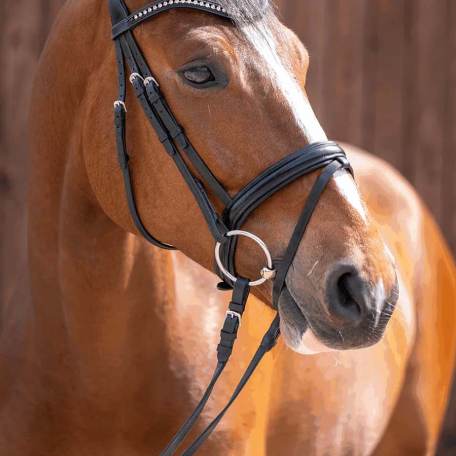 Todelt bitt Dynamic RS Sensogan Ø55-70mm