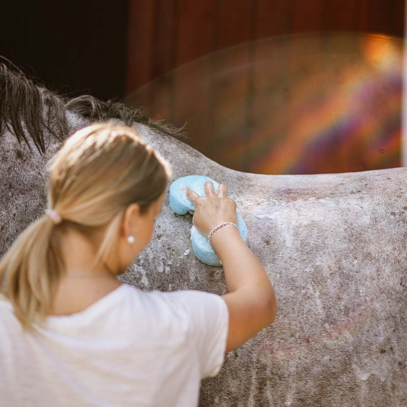 Vaskesvamp Cellulose Grooming Sponge Blå