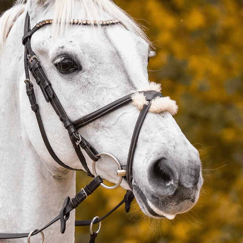 Tredelt bitt Novocontact Sensogan Ø70mm