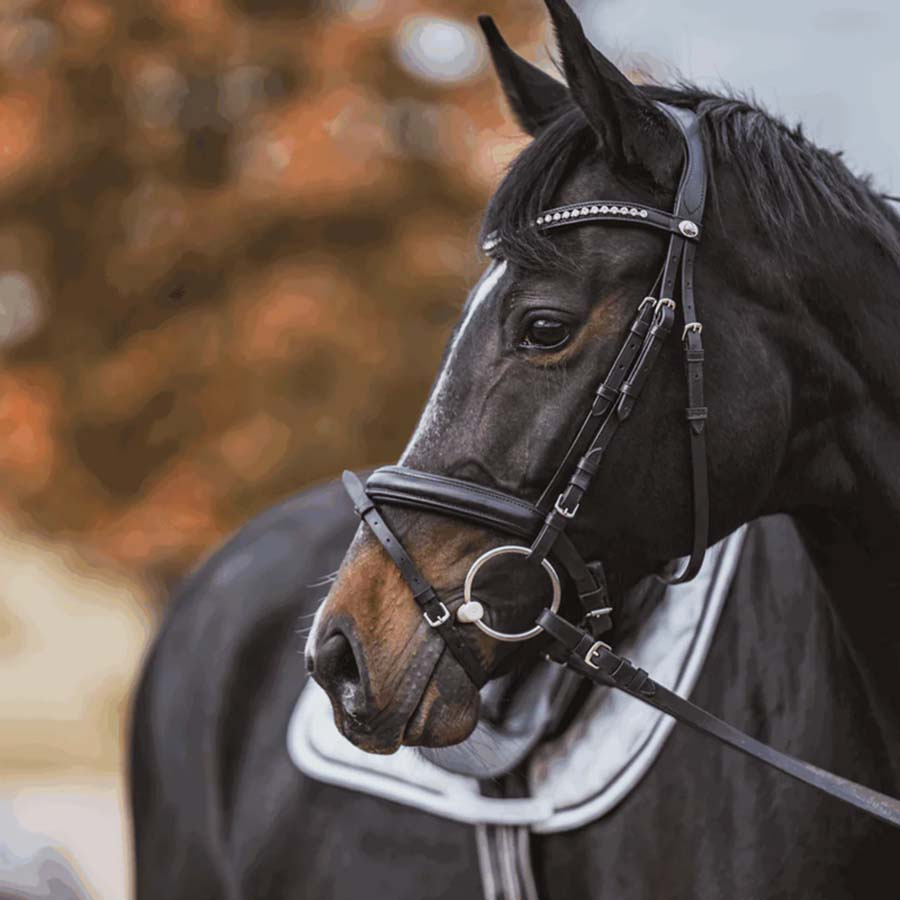 Bitt DUO Flexible Plastic Ø55mm-70mm