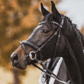 Muffebitt Hard Carbon Mullen Mouth Ø55mm Muffebitt Hard Carbon Mullen Mouth Ø55mm