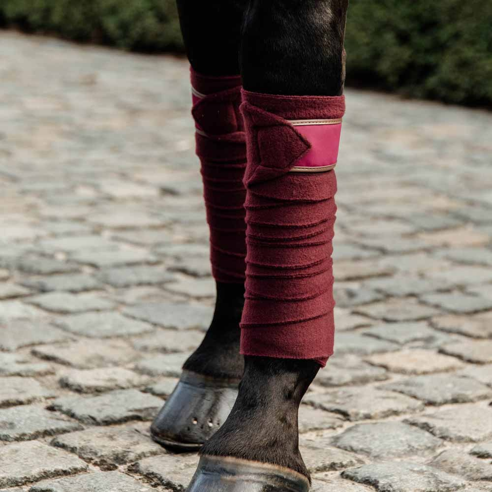 Bandasjer Polar Fleece 4-pk Bordeaux