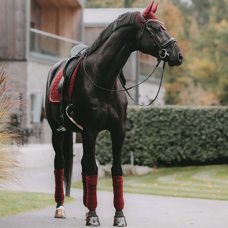 Bandasjer Polar Fleece Velvet Vinrød
